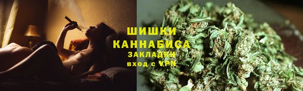 МДПВ Пересвет