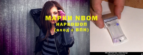 шишки Пестово