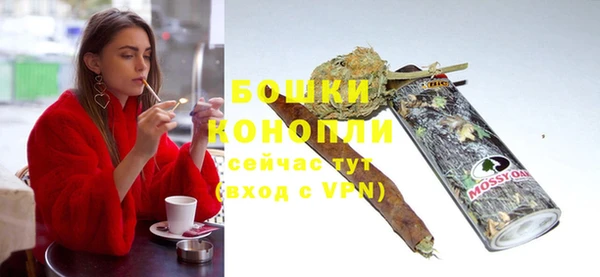 МДПВ Пересвет