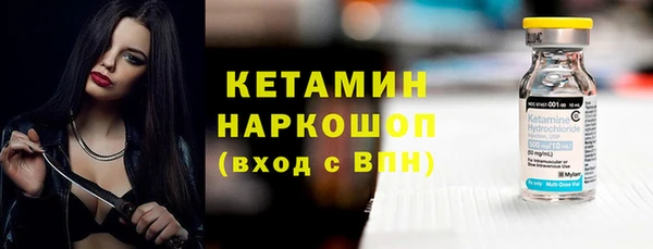 шишки Пестово