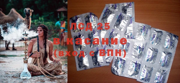 шишки Пестово