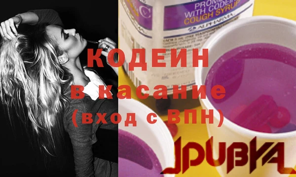МДПВ Пересвет