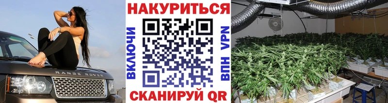 купить   Калачинск  МАРИХУАНА MAZAR 